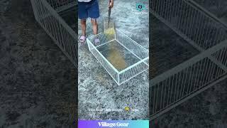 This Bird Cage is a CHEAT CODE!  Chickens & Pigeons Don't Stand a Chance! #birdcatching #trap