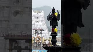 Beauty of Tirumala Temple in Rain #Shorts