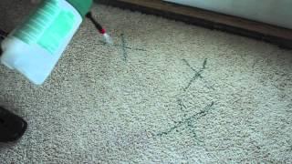 Green Choice Carpet Cleaning - Pet Stain and Odor Removal