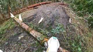 Post Ice, Rain and Wind Road Debris: Oregon Coast Range--Dual Sport Bikes forced to jump trees!