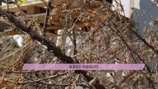 안산 가성소다 보수 출장용접 엠테크