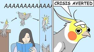 Funny Comics With Parrot Thought Twist #4 | Parrot Comic Dub