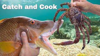 Catch & Cook * Crabs & Hogfish * Spearfishing off Key Largo