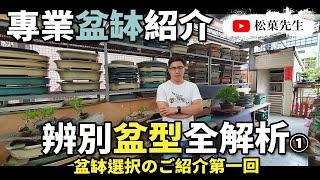 盆栽教學| 專業盆缽認識，辨別盆型全解析 EP1 | 盆缽の選択ご紹介第一回 【松菓先生】How to know the bonsai pot introduction ?