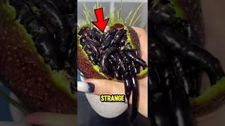 Healthy AVOCADO Look Under The Microscope‼️