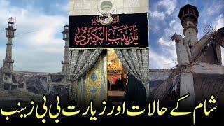 ziyarat bibi zainab sa |ziyarat bibi zainab sa today|ya zainab ap py qurban