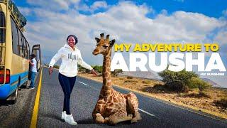 Jay Sunshine in Arusha | An Unforgettable Adventure from Nairobi