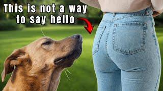 DOGS SNIFFING BUTTS Discover the Strange Reason Before Your Dog Does It Again!