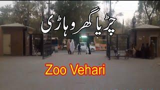 Visit Zoo Vehari |  Vlog |tour چڑیا گھر Vehari_Punjab_Pakistan | Beautiful_Village | Life_Of_Punjab