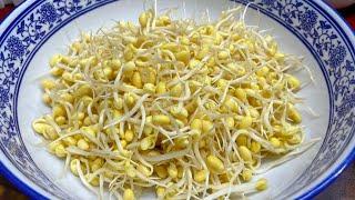 Buy bean sprouts later and do it with me. They are crisp  tender and refreshing. They are more deli