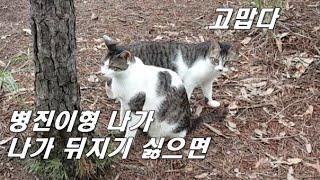 병진이형 나가 - 영화 '해바라기' 패러디