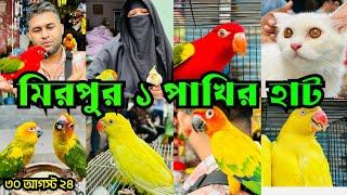 নানা রঙ্গের পাখিতে জমে উঠেছে মিরপুর ১ পাখির হাট | Mirpur 1 Pakhir Hat | Birds Price BD #viralvideo