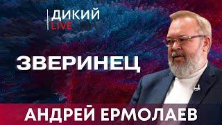 Грубая работа, или Время для разбега. Андрей Ермолаев. Дикий LIVE.