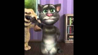 Talking Tom