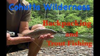 Cohutta Wilderness-Backpacking & Trout Fishing