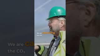 How We Can Transform Our Cities Into Carbon Sinks | RE:TV
