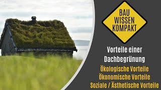 Vorteile einer Dachbegrünung - Ökologische / Ökonomische / Soziale & Ästhetische -- KOMPAKT ERKLÄRT