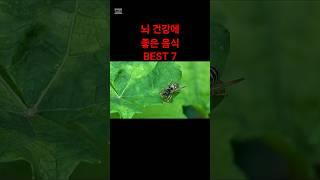 뇌 건강에 좋은 음식 7가지 #건강정보 #생활습관 #웰빙 #건강정보
