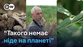 Як виглядає Каховське водосховище нині і чому екологи проти відбудови ГЕС? | DW Ukrainian