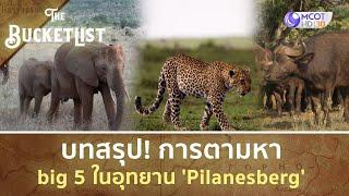 บทสรุป! การตามหา big 5 ในอุทยาน 'Pilanesberg' (22 ก.ย. 67) | The Bucket List