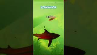 #shorts shark vs alligator who would win irl? #topnotch #gaming