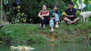 Eagerly waiting for the new house: Sua and Ha harvest oranges and buy duck seeds