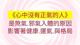 3/6葉子老師猿猴式超慢跑還您健康不是夢