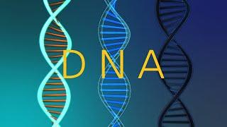 4K DNA 구조 무료 영상 소스클립 DNA Free Video Source