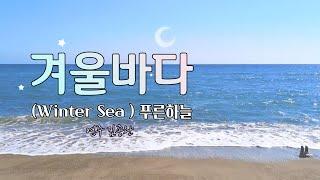 겨울바다 (Winter Sea) 푸른하늘 (유영석)│기타연주 김종완