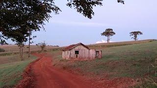 Idoso Sentia Muito Calor Durante a Noite e Só Dormia de Portas Abertas, Até Receber a Visita 1 Onça