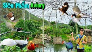 Đẳng cấp Aviary SIÊU TO KHỔNG LỒ rộng 450m2 bố trí tuyệt đẹp và nhiều loài động vật || Đạt Bird TV