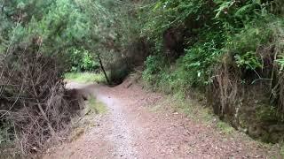 Waikato River Trail - Waipapa to Mangakino