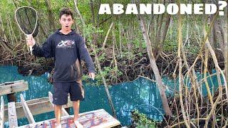 ABANDONED BOARDWALK TIDAL POOLS! **DESTROYED**