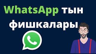 Ватсаптын фишкалары. Фишки WhatsApp