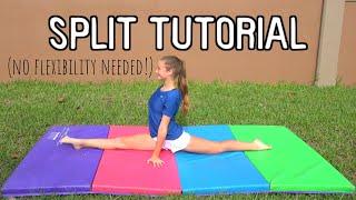 How to Do a Split for BEGINNERS!