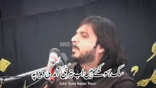 Zakir Syed Haider Rizvi poetry 2023#majliseaza #majlis #alimola