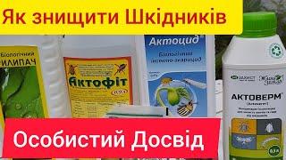 Павутинний кліщ, Білокрилка, Трипс, Щитівка - як знищити, особистий досвід)))