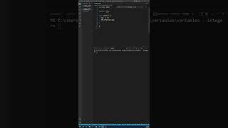 Go Language: Variable Integer
