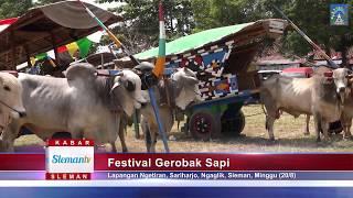 Lomba dan Festival Gerobak Sapi