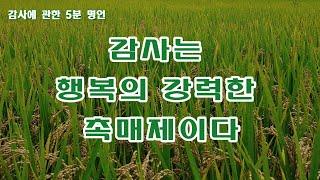 5분 감사명언. "감사는 행복의 강력한 촉매제이다."