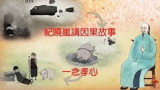 【紀曉嵐講因果故事】閱微草堂筆記 第1集 - 一念孝心 -  高清 HD720P