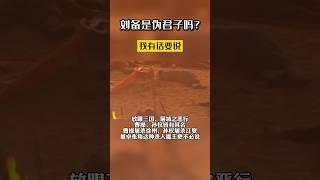 刘备是伪君子吗？我有话要说 #历史