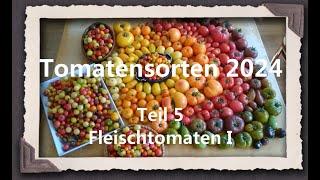 Tomatensorten 2024 Teil 5 - Fleischtomaten I