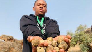 Around Nigeria - GORON TULA - Snot Apple - The Origin.