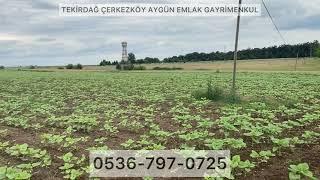 KIRKLARELİ LÜLEBURGAZ'EMİRALİ'DE ASFALTA CEPHE İKİ TAPU TOPLAM 31 DÖNÜM ACİL SATILIK TARLA