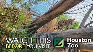 Watch This Before You Visit the Houston Zoo