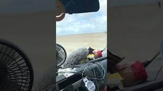 Wjazd na Marsa (Dania największa plaża w europie)