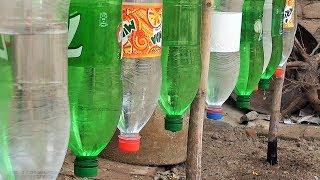 Plastic Bottle Drip Water Irrigation System Very Simple