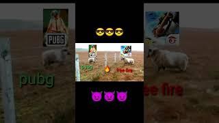 #free fire vs # PUBG  #MSP GAMERZ