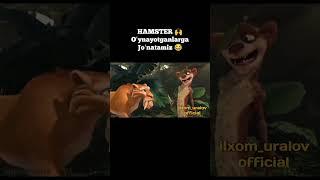 HAMDTER KOMBAT #hamsterkombat #shorts #tiktok #tekinga #tapswap #spinnercoin #uzb #trend #minecraft